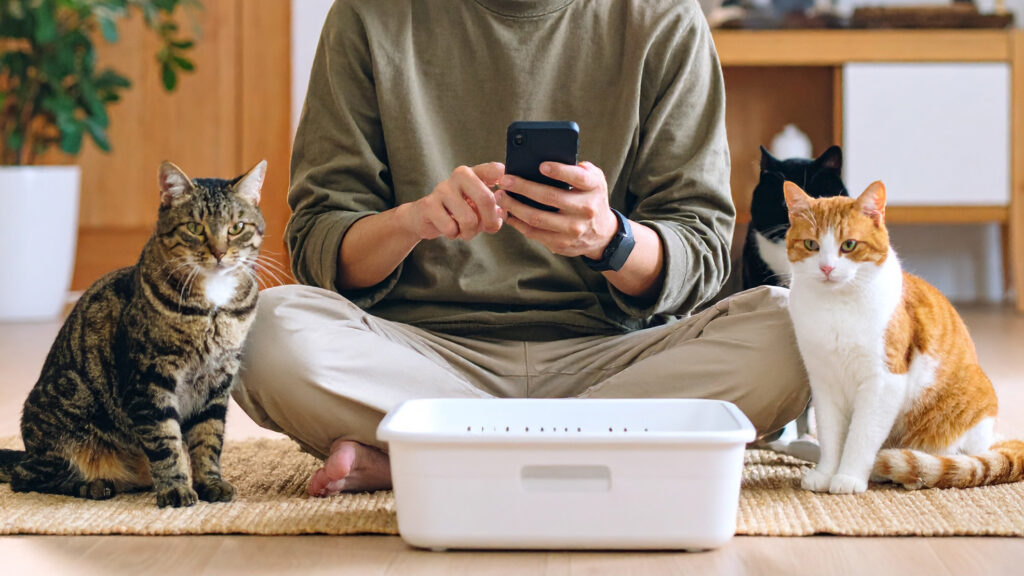 スマートトイレのアプリを確認する飼い主と3匹の猫